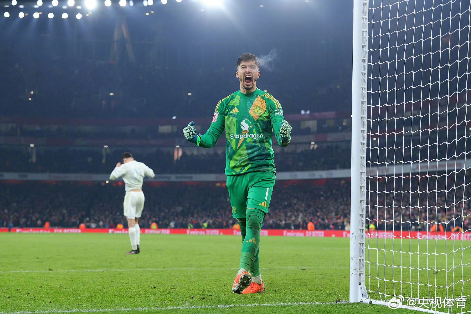 德国门将关键扑出点球保平局 德国门将关键扑出点球保平局