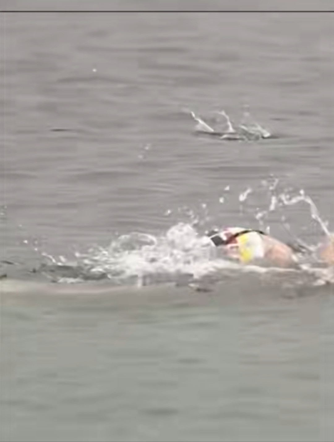 全球热议！游泳场外八卦引关注的简单介绍