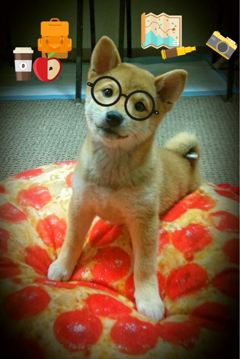 哈兰德爆发，埃及巅峰对决胜出毕尔巴鄂，足球世界的冰与火之歌