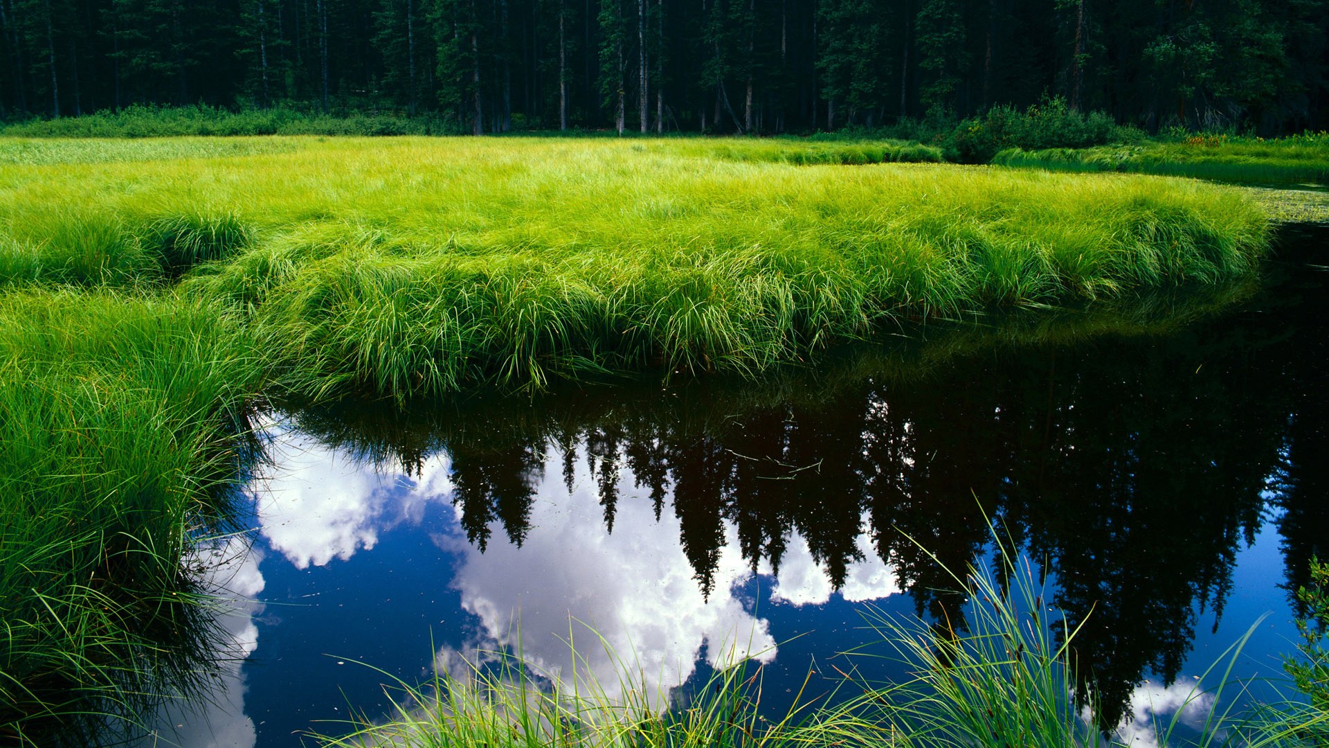 末节18分掀翻湖人!米切尔诠释何为关键先生