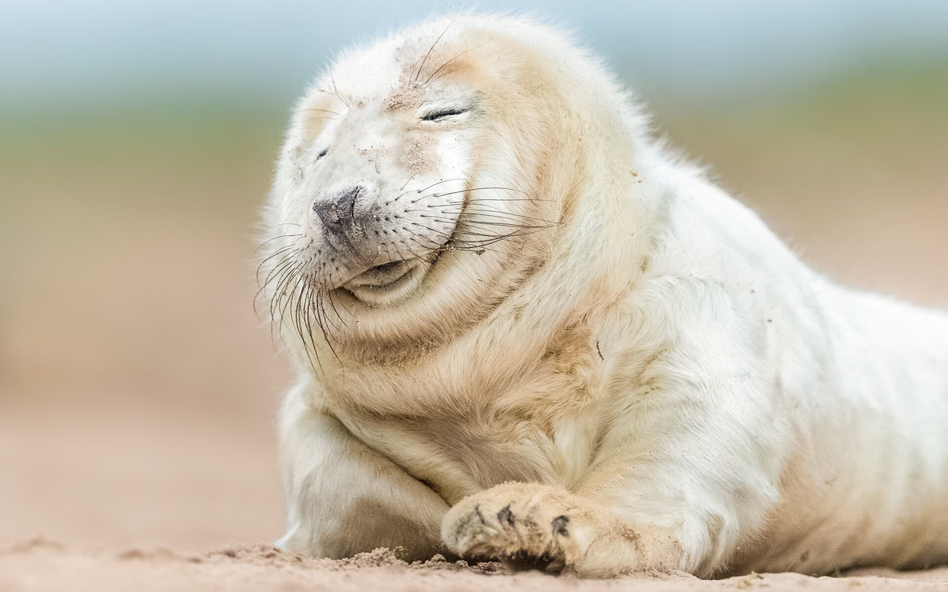 引擎咆哮，战火重燃，米切尔在F1揭幕战之夜点燃赛场