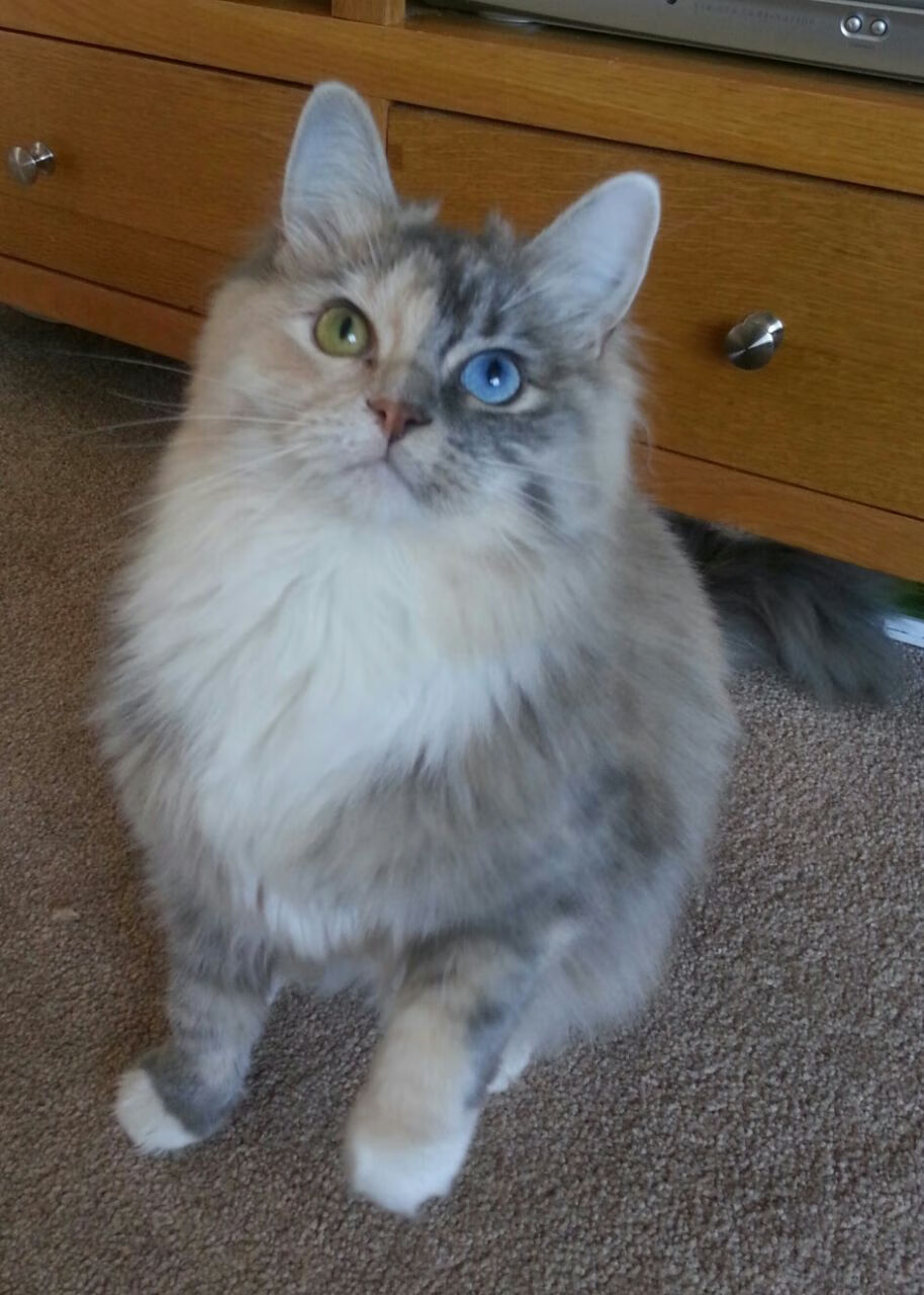 当赛道火花熄灭,他以人类的血肉之躯打爆了游戏的规则