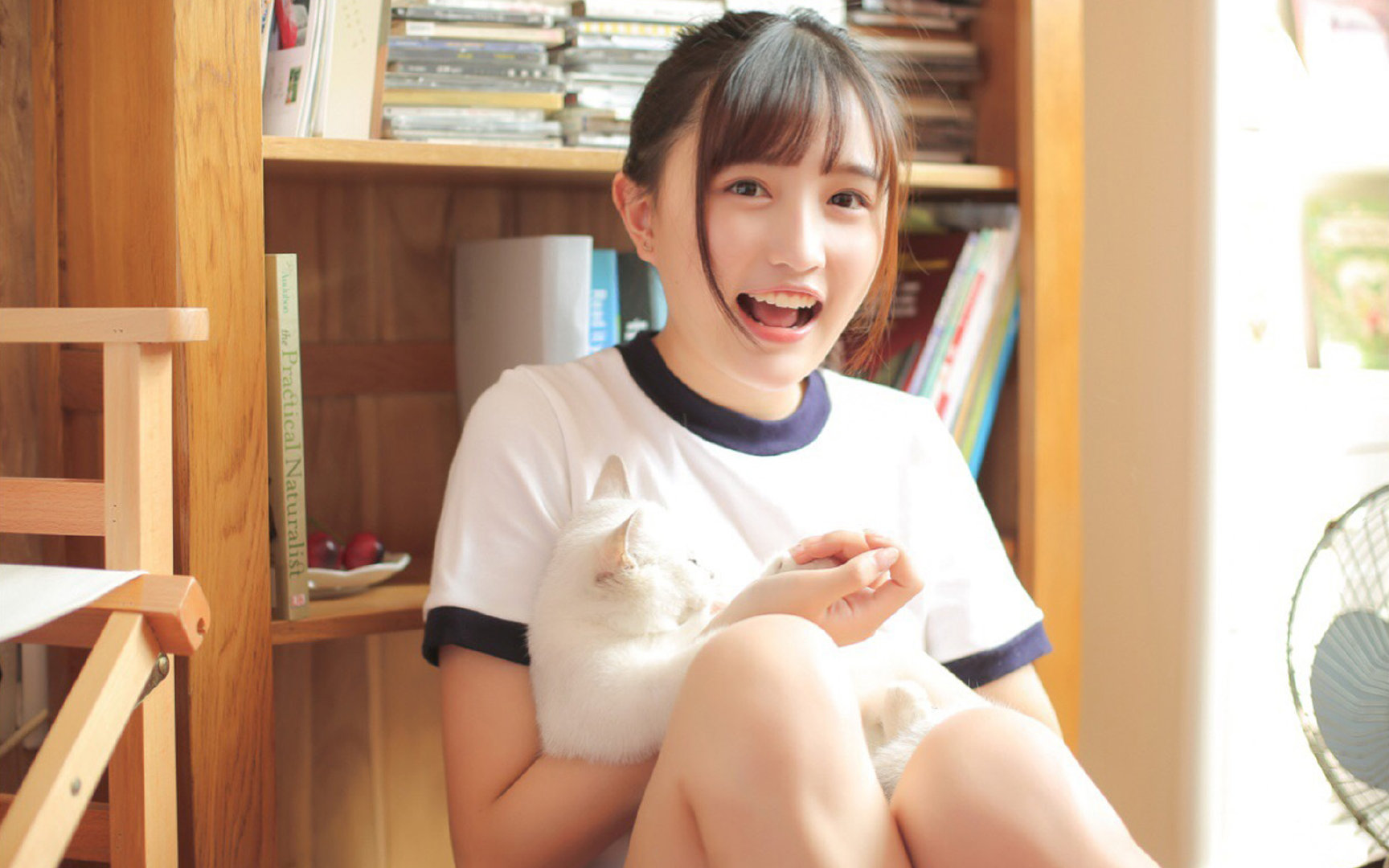 冰岛连续得分显神威,压制几内亚晋级美加墨世界杯焦点战