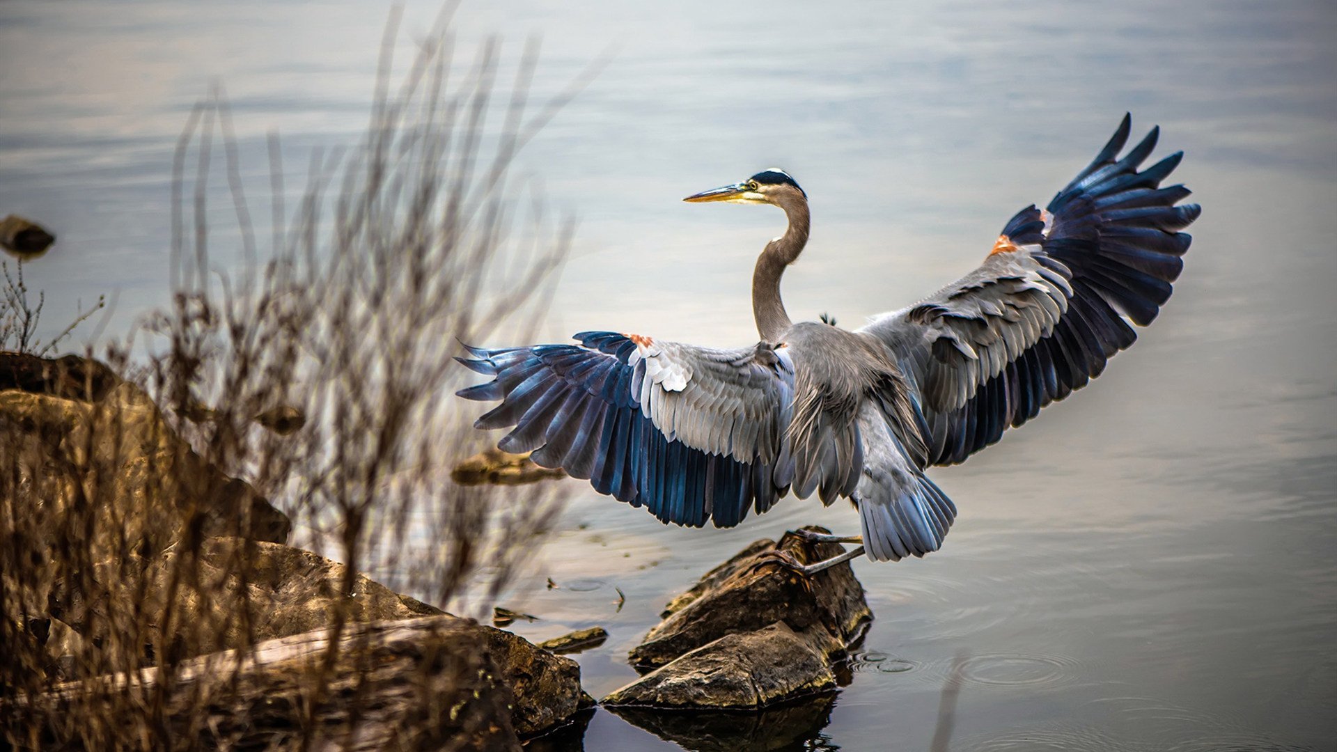 当球队忘记赢球密码,保罗拿出了那把从未生锈的钥匙
