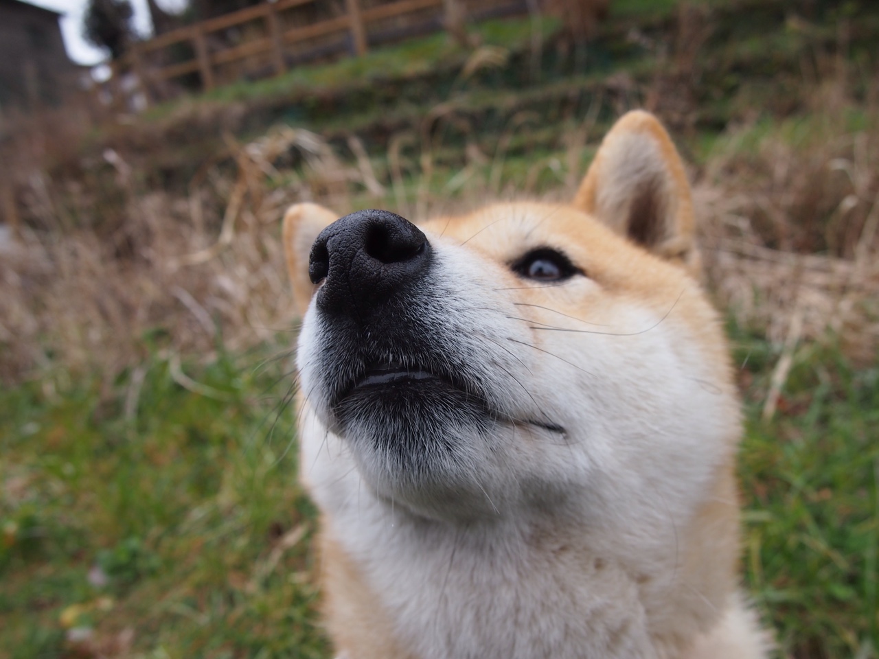 大舞台的心脏,当乔治扛起山西,在最后三秒击穿开拓者