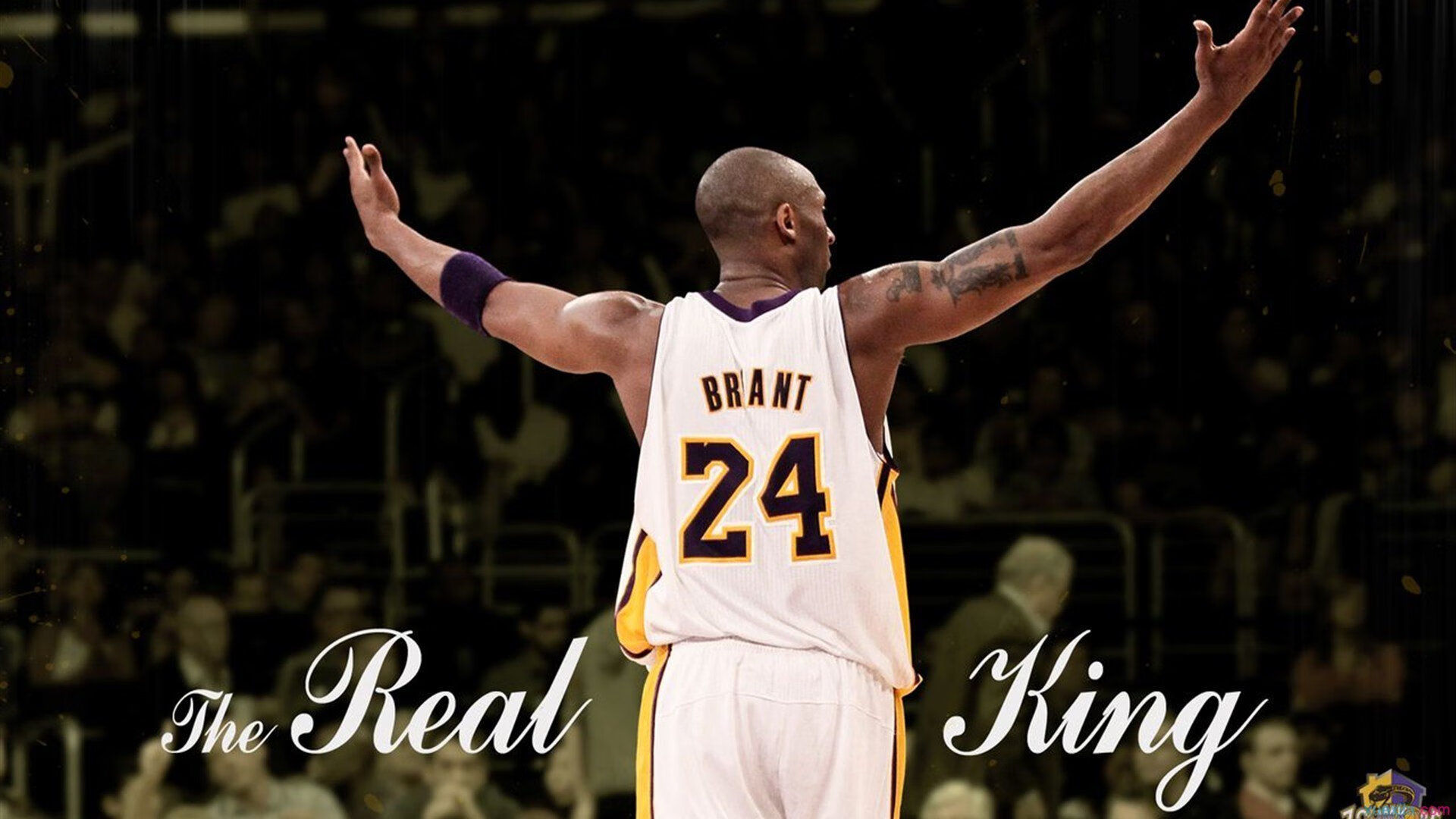 莫兰特狂砍47分如泼墨画师，广东闪电战击溃灰熊铁壁