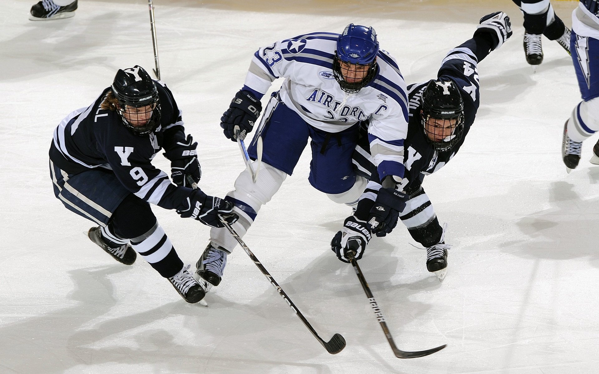 铁血森林狼晋级之路，无解塔图姆昭示新时代