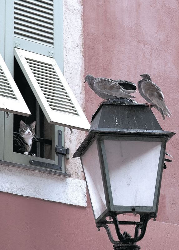 鏖战之夜,霍勒迪关键表现助步行者力克黄蜂