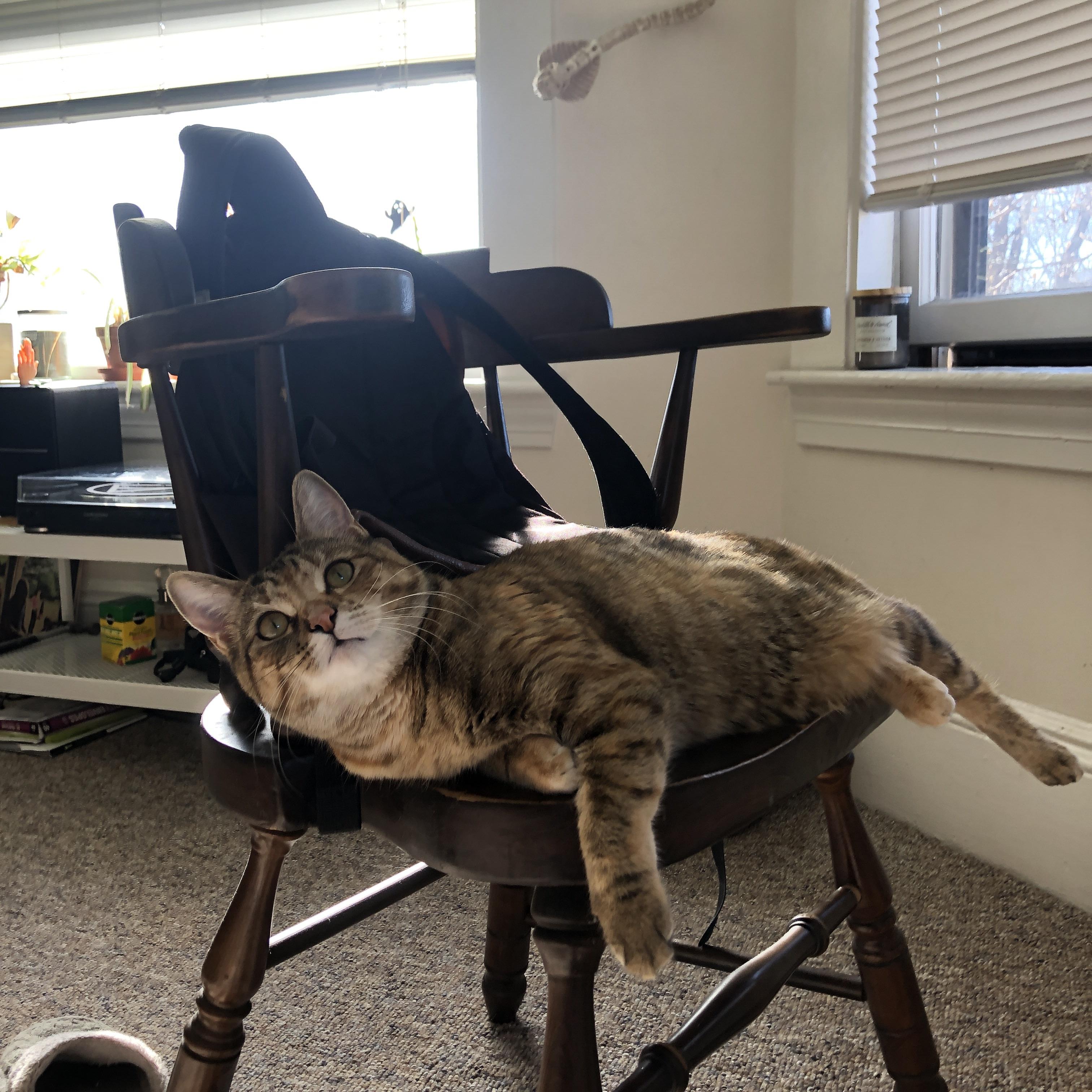 赛道与球场的双重奏,F1新赛季揭幕战焦点战,老鹰防守锁死辽宁队的战术启示