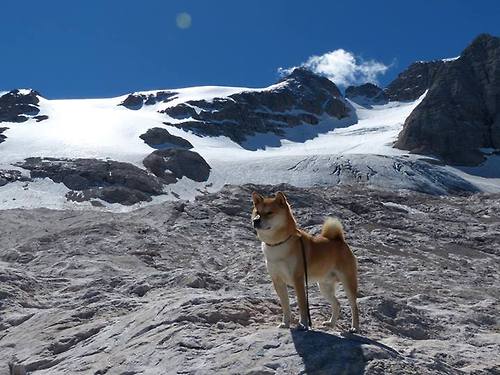 贝恩化身得分狂魔！奇才防线在冰与火中彻底崩解