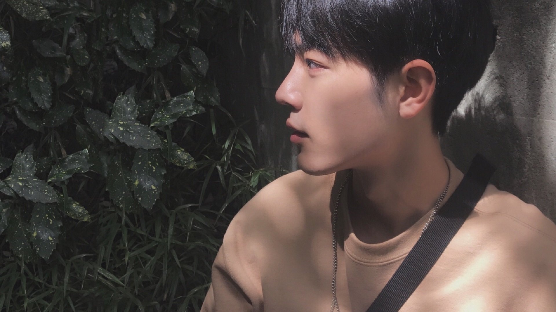 加时鏖战,字母哥关键先生显神威,黄蜂力克奇才