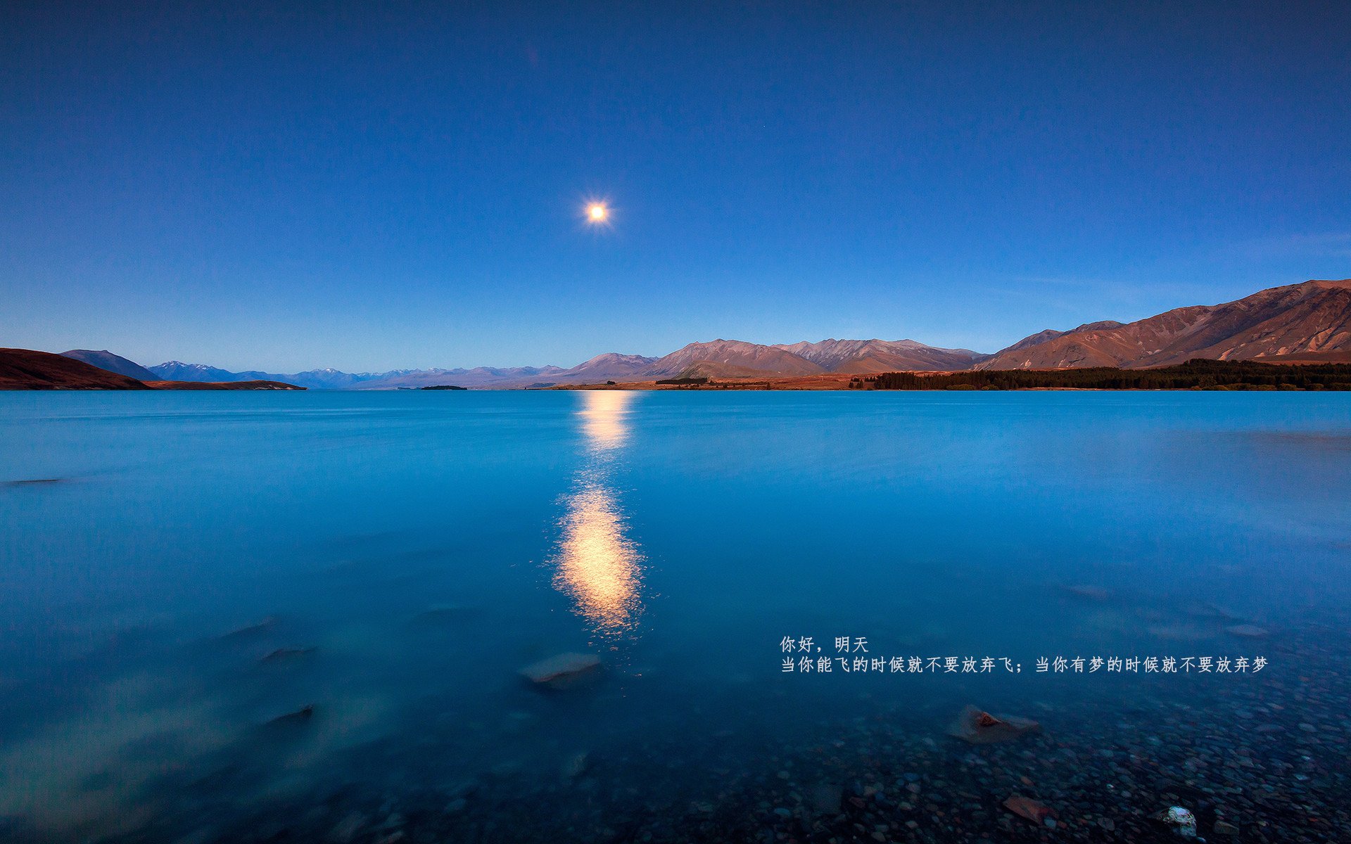 绿茵场与硬木地板的交响，意甲焦点战与独行侠击溃灰熊的跨体育启示