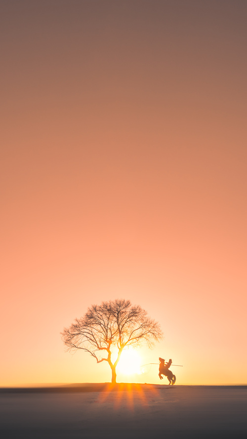 篮球艺术家，拉梅洛用39分狂想曲肢解北京队的钢铁防线