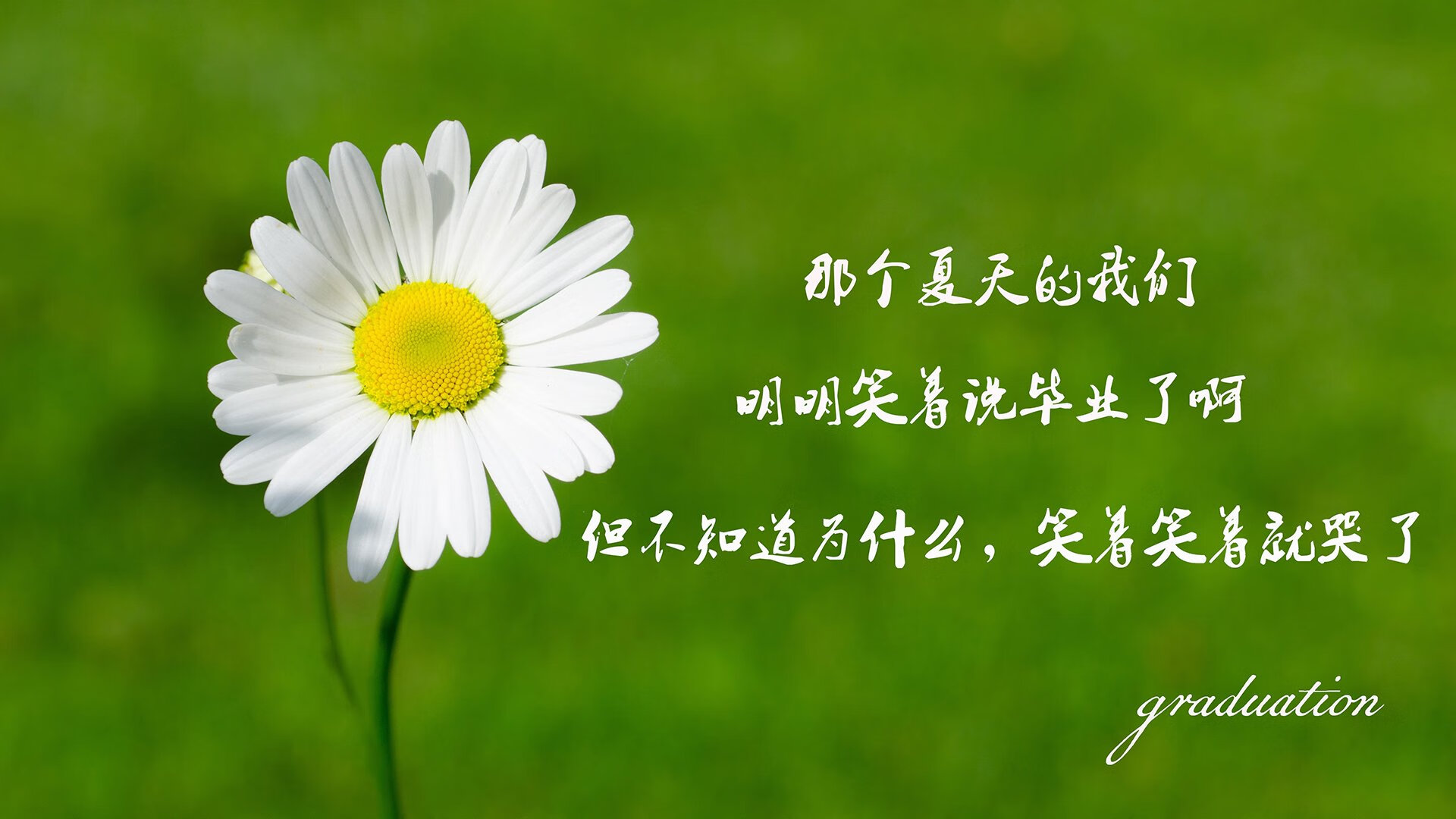 跨界锋芒，勇士铁壁击溃灰熊，绿茵场上拉文上演接管艺术