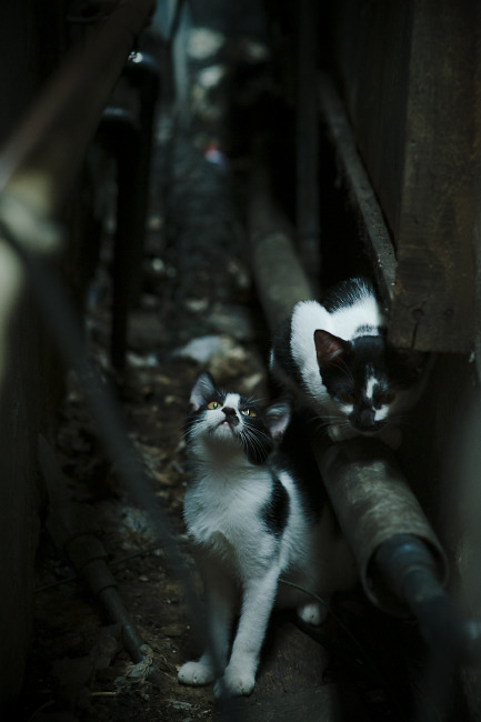 虚构与现实交错，当巴拉圭冲击马竞，拉什福德如何定义关键先生