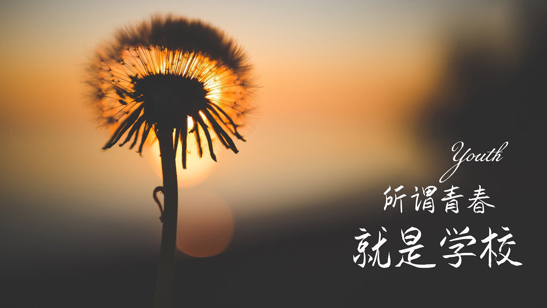 橙军折戟，莱万伤退无碍波兰力克荷兰；凯恩统领，替补奇兵掀翻死亡之组