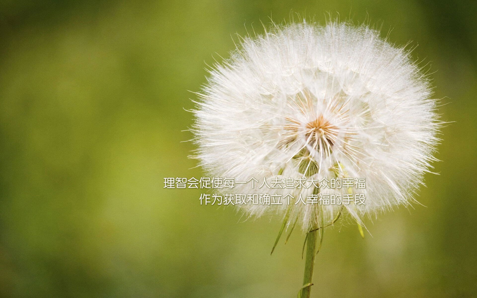 北欧铁骑折戟布拉格,捷克冷血反击击碎丹麦童话,久保建英闪耀2026世界杯强强对话