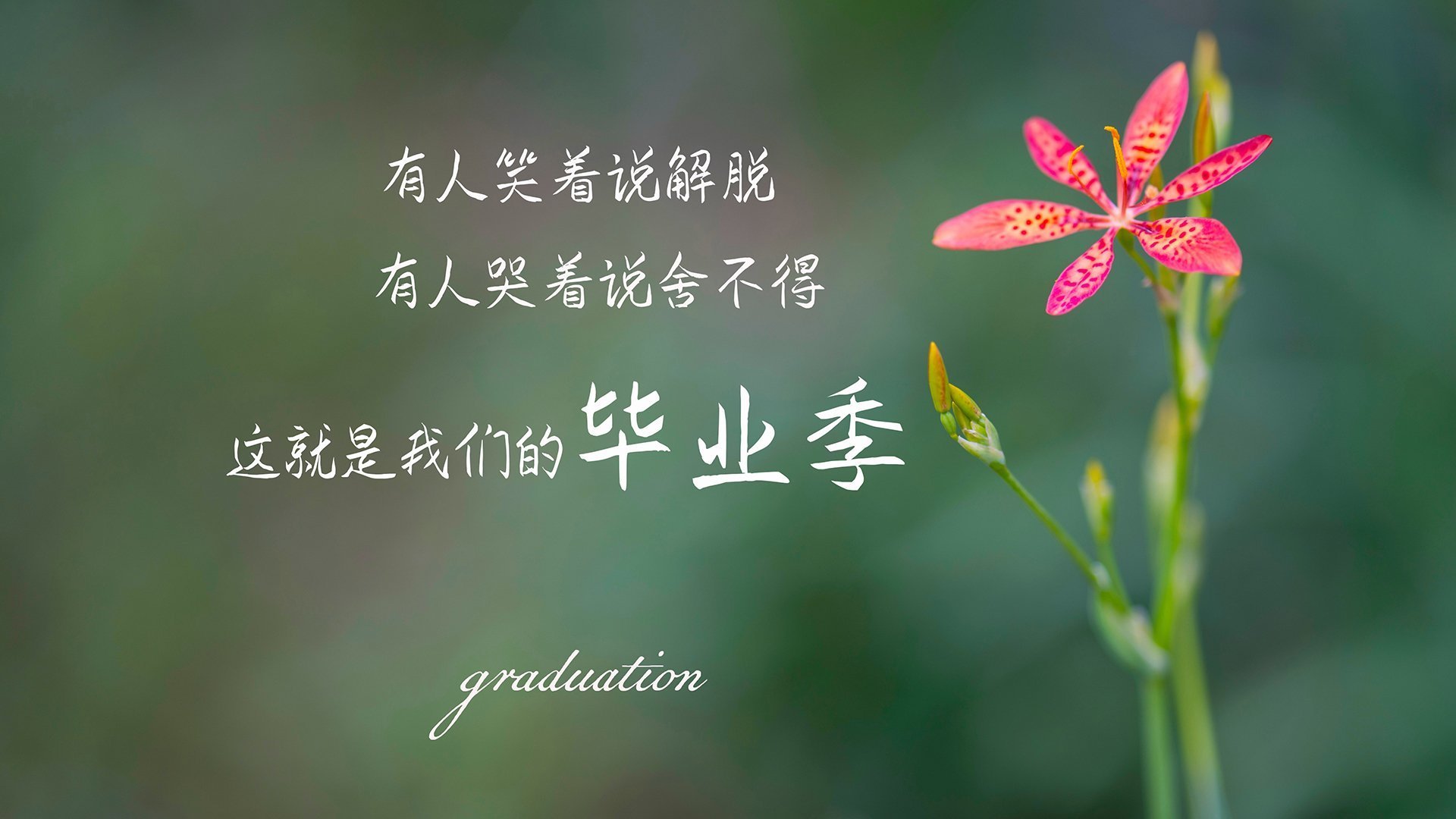 斗牛士的绝地反击,西班牙逆转乌拉圭,B费领衔2026世界杯F组惊天翻盘